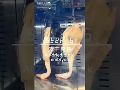 Vent chaud écran multifonctionnel Grill poulet canard et agneau torréfacteur four